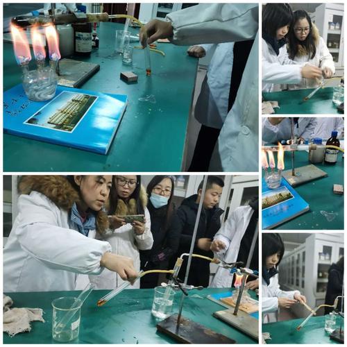 初中化学实验探究,如何提高初中生的化学实验探究能力