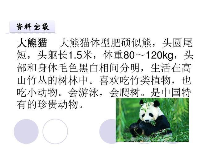 大熊猫的资料完整介绍,大熊猫的资料完整介绍 关于熊猫的简介