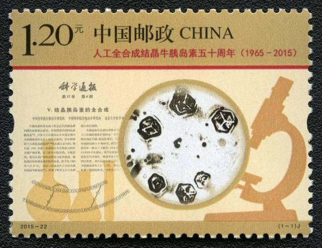 人工合成牛胰岛素突破,1965年九月中国在世界上首次实现人工合成什么