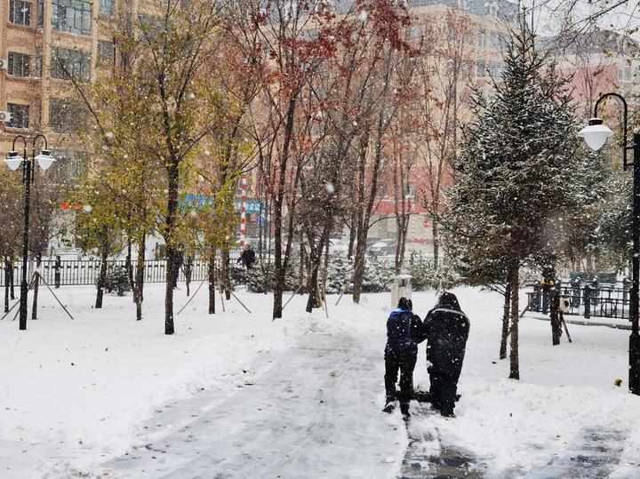 哈尔滨进入临战状态,哈尔滨22日因暴雪暂停线下教学哈尔滨暴雪最新情况