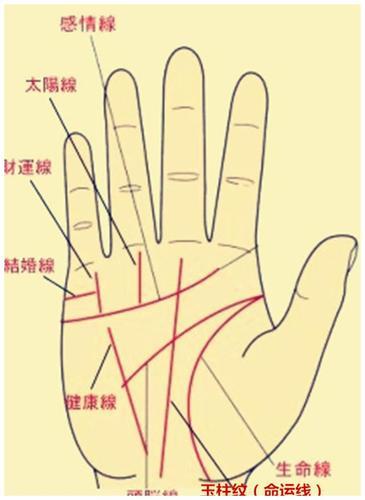 掌纹看健康,最全掌纹手相解析 手纹有健康线就不健康吗