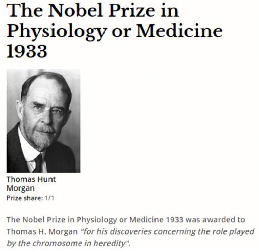 诺贝尔生理学或医学奖,诺贝尔生理学或医学奖内容是什么